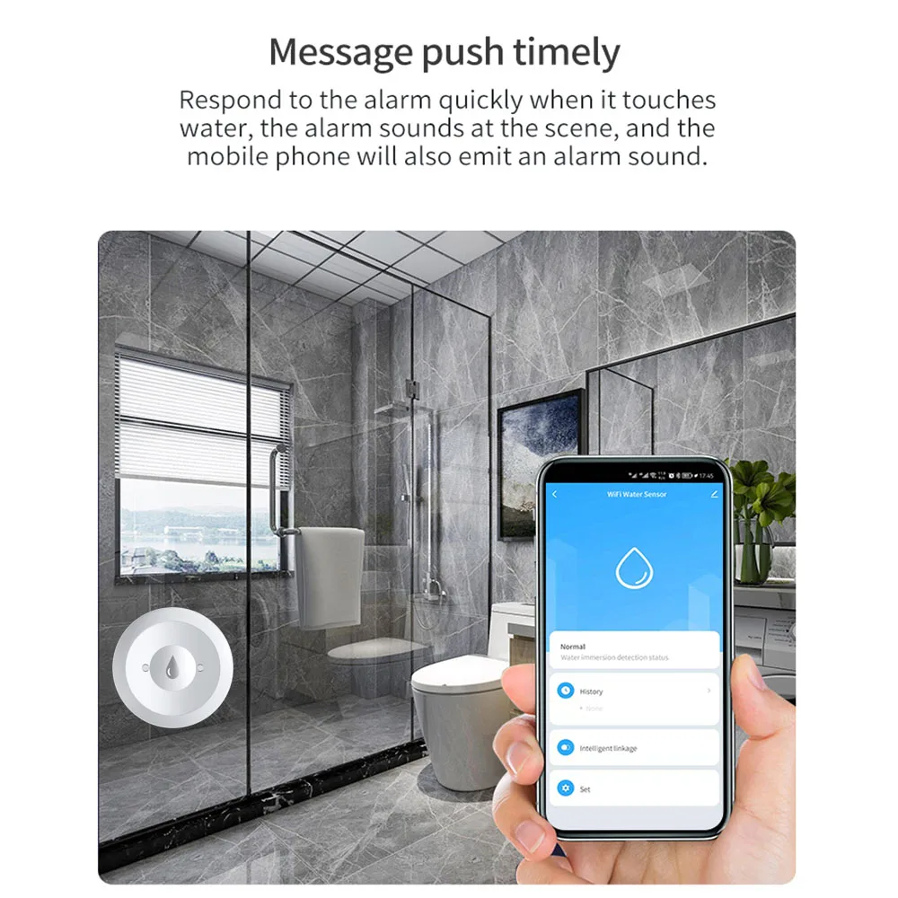 Haozee Tuya Smart ZigBee3.0 Sm - Water Alarm Sensor 리뷰 및 가격