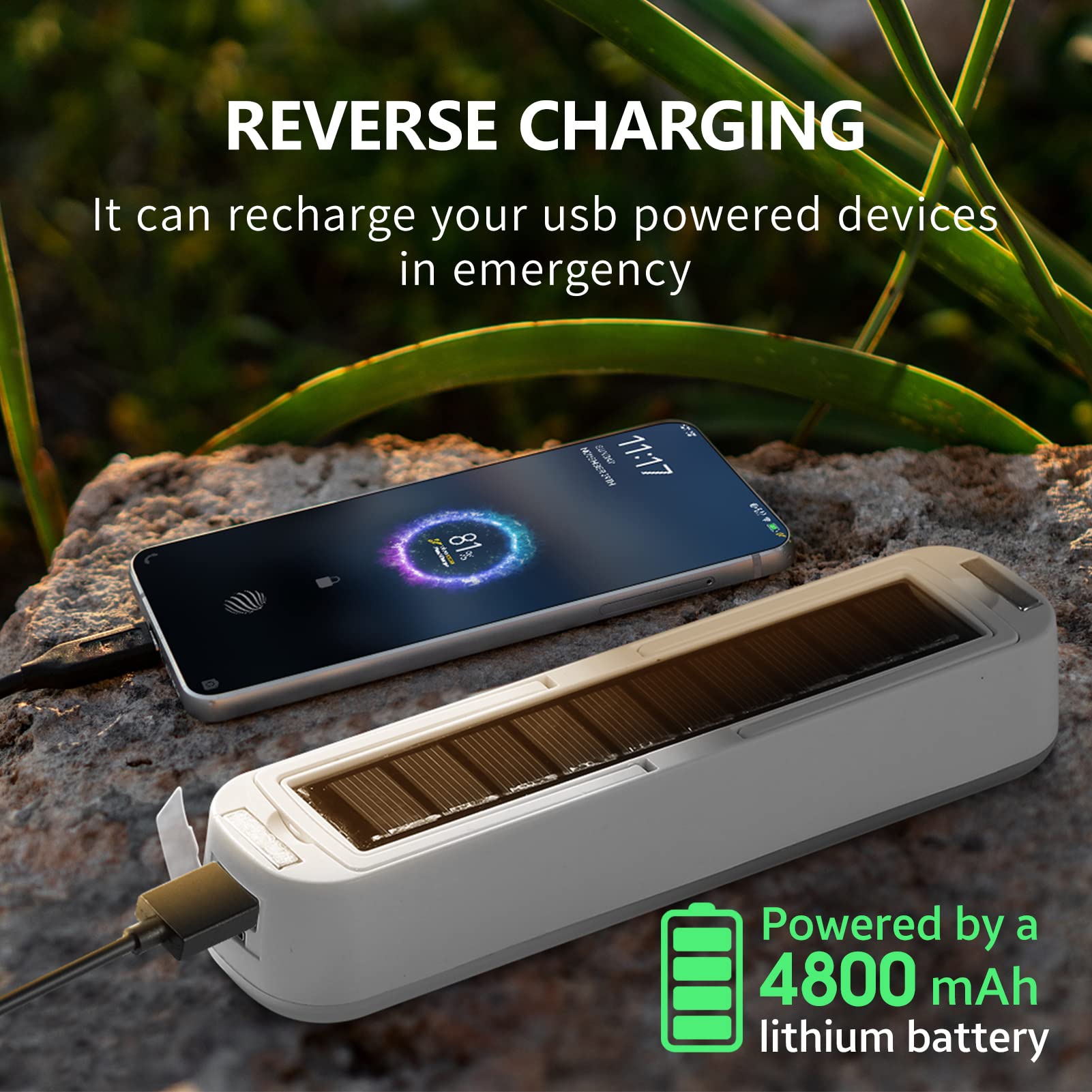 Solar Rechargeable Camping Lan - Power Outage Light 리뷰 및 가격
