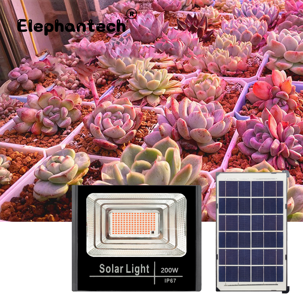 LED Full Spectrum Phyto Lamp 2 - Power Outage Light 리뷰 및 가격